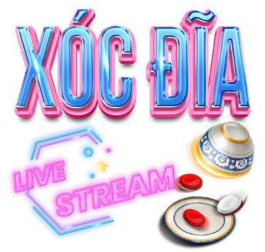 X&oacute;c đĩa okking